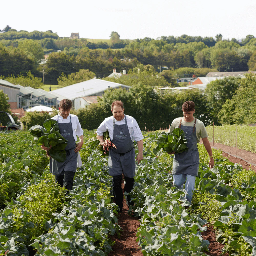 The Farm Table X The French House with Neil Borthwick, Mitch Tonks & Mark Hix | 05.08.26 - Image 6