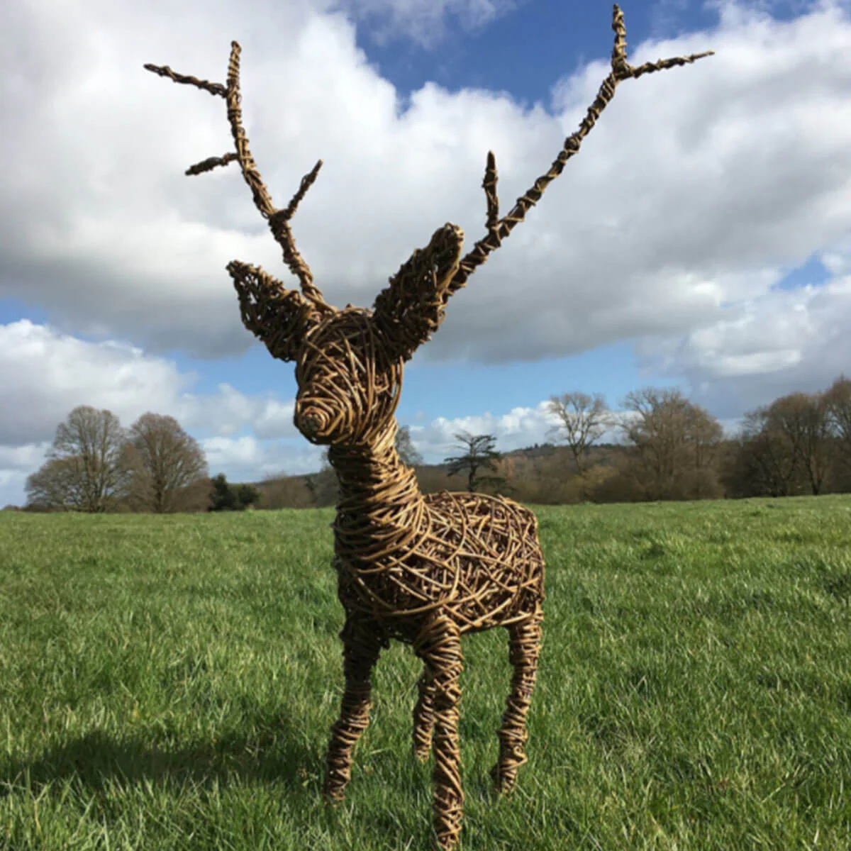 Willow Reindeer Masterclasses | Multiple Dates